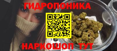 мяу мяу мука Кунгур
